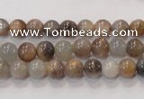 CMS310 15.5 inches 6mm round natural moonstone beads wholesale