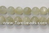 CMS311 15.5 inches 6mm round natural moonstone beads wholesale