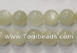 CMS313 15.5 inches 10mm round natural moonstone beads wholesale