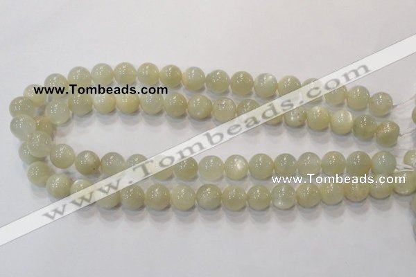 CMS313 15.5 inches 10mm round natural moonstone beads wholesale