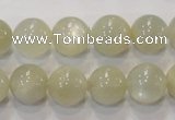 CMS314 15.5 inches 12mm round natural moonstone beads wholesale