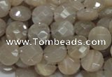 CMS44 15.5 inches 10mm faceted coin moonstone gemstone beads