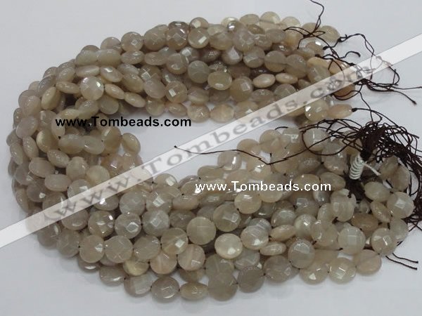 CMS44 15.5 inches 10mm faceted coin moonstone gemstone beads