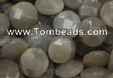 CMS46 15.5 inches 14mm faceted coin moonstone gemstone beads