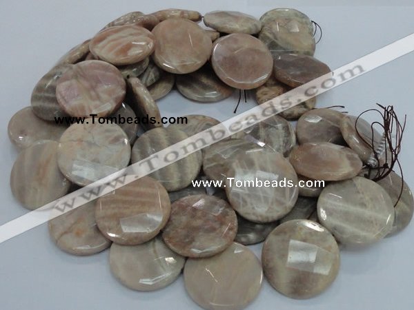 CMS49 15.5 inches 40mm faceted coin moonstone gemstone beads