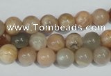 CMS503 15.5 inches 8mm round moonstone beads wholesale