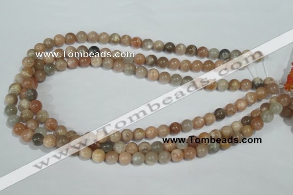 CMS503 15.5 inches 8mm round moonstone beads wholesale