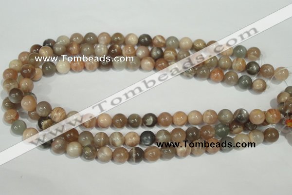 CMS504 15.5 inches 10mm round moonstone beads wholesale