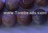 CMS506 15.5 inches 14mm round moonstone beads wholesale