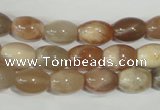 CMS511 15.5 inches 8*12mm rice moonstone beads wholesale