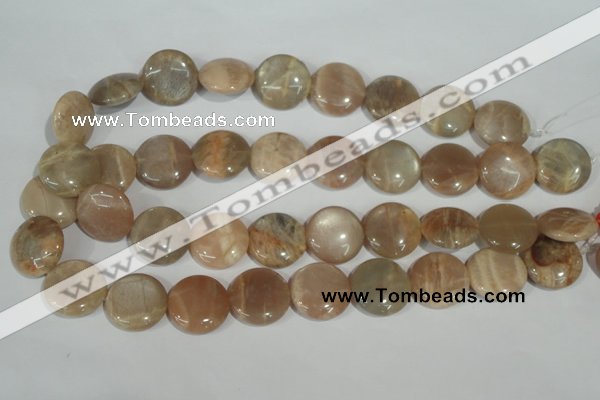 CMS525 15.5 inches 20mm flat round moonstone beads wholesale