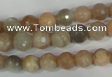 CMS571 15.5 inches 8mm faceted round moonstone beads wholesale