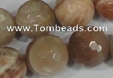 CMS577 15.5 inches 20mm faceted round moonstone beads wholesale