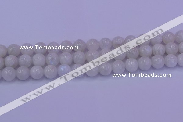 CMS644 15.5 inches 12mm round white moonstone beads wholesale