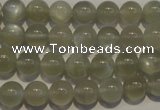 CMS652 15.5 inches 8mm round grey moonstone beads wholesale