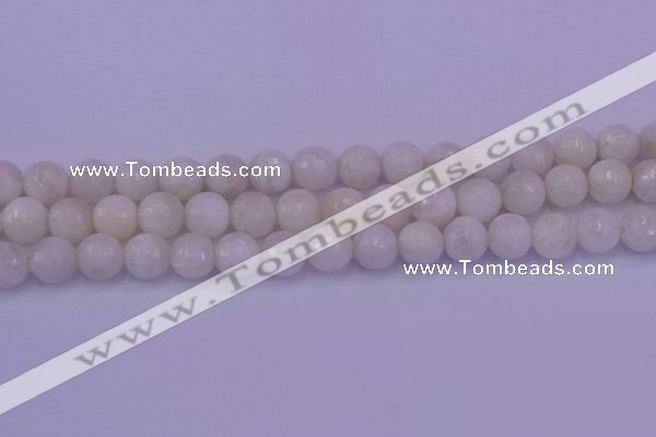 CMS663 15.5 inches 10mm faceted round white moonstone beads