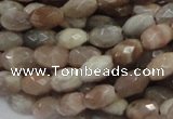 CMS70 15.5 inches 6*10mm faceted rice moonstone gemstone beads