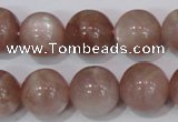 CMS756 15.5 inches 14mm round natural moonstone beads wholesale