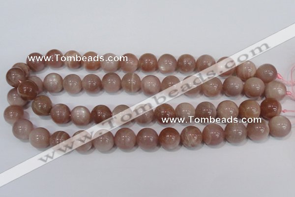 CMS756 15.5 inches 14mm round natural moonstone beads wholesale