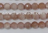 CMS764 15.5 inches 8mm faceted round natural moonstone beads