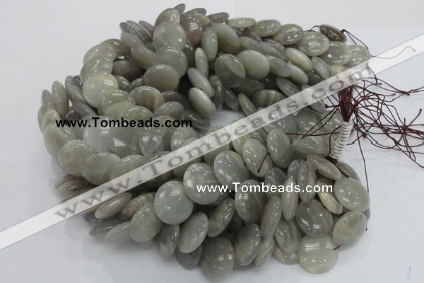 CMS79 15.5 inches 20mm flat round moonstone gemstone beads