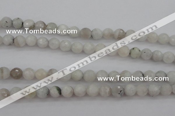 CMS802 15.5 inches 8mm faceted round white moonstone beads