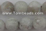 CMS803 15.5 inches 10mm faceted round white moonstone beads
