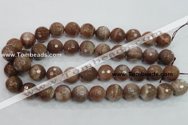 CMS82 15.5 inches 18mm faceted round moonstone gemstone beads