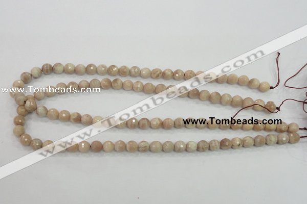 CMS83 15.5 inches 8mm faceted round moonstone gemstone beads