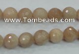 CMS84 15.5 inches 10mm faceted round moonstone gemstone beads