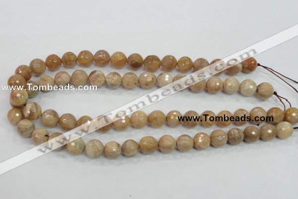 CMS85 15.5 inches 12mm faceted round moonstone gemstone beads