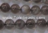 CMS852 15.5 inches 8mm round natural black moonstone beads