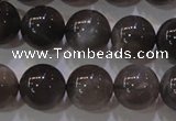 CMS853 15.5 inches 10mm round natural black moonstone beads