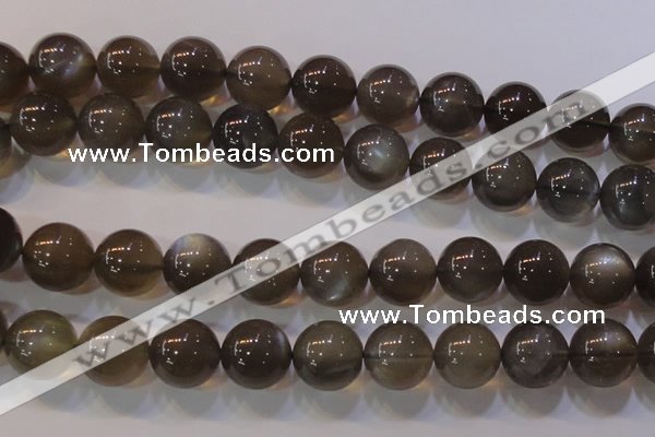 CMS855 15.5 inches 14mm round natural black moonstone beads