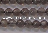 CMS858 15.5 inches 6mm round A grade natural black moonstone beads