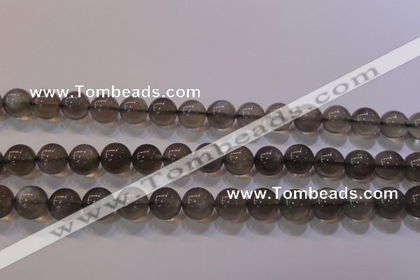 CMS860 15.5 inches 10mm round A grade natural black moonstone beads