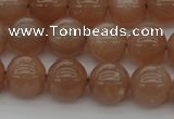 CMS932 15.5 inches 8mm round A grade moonstone gemstone beads