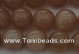 CMS933 15.5 inches 10mm round A grade moonstone gemstone beads
