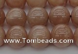 CMS934 15.5 inches 12mm round A grade moonstone gemstone beads