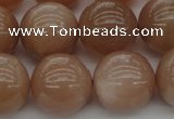 CMS935 15.5 inches 14mm round A grade moonstone gemstone beads