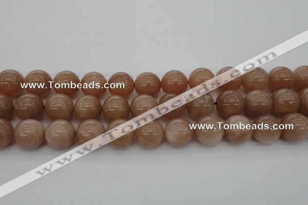 CMS935 15.5 inches 14mm round A grade moonstone gemstone beads