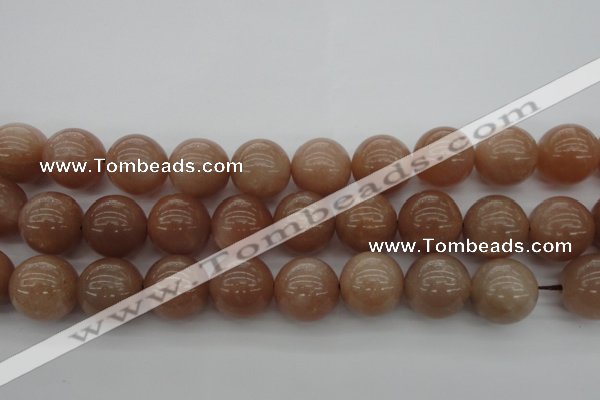 CMS936 15.5 inches 16mm round A grade moonstone gemstone beads