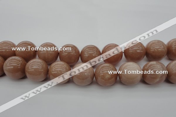 CMS938 15.5 inches 20mm round A grade moonstone gemstone beads
