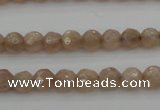 CMS940 15.5 inches 4mm faceted round A grade moonstone gemstone beads