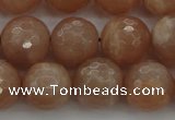 CMS943 15.5 inches 10mm faceted round A grade moonstone gemstone beads