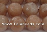 CMS945 15.5 inches 14mm faceted round A grade moonstone gemstone beads