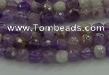 CNA1010 15.5 inches 4mm faceted round dogtooth amethyst beads