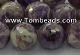 CNA1015 15.5 inches 14mm faceted round dogtooth amethyst beads