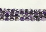 CNA1120 15.5 inches 14mm flat round dogtooth amethyst beads