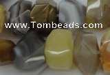 CNG1026 15.5 inches 10*14mm - 15*20mm faceted nuggets Botswana agate beads